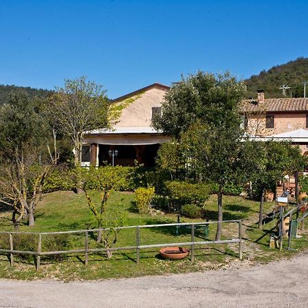 Agriturismo Torre Burchio Бетона Екстериор снимка
